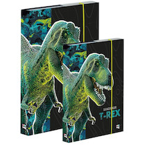 Box na sešity A4+A5 Dinosaurus