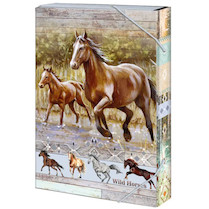 Box na sešity A4 Wild horses