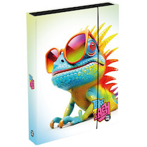 Box na sešity A4 jumbo Chameleon