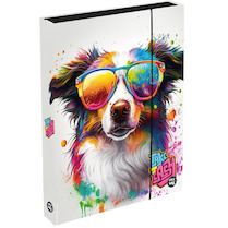 Box na sešity A4 jumbo Pes