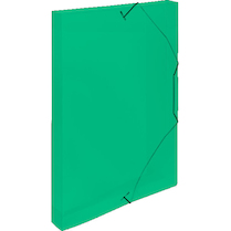 Box s gumou tříklopý průhledný zelený