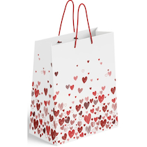 Dárková papírová 18x23 cm Srdíčka