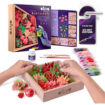 Výtvarná modelovací sada OKTO Passion sukulenty v dřevěném rámu 21x21 cm