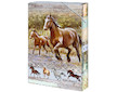 Box na sešity A4 Wild horses