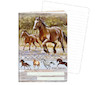 Sešit A6 linkovaný 644 40 listů Wild horses
