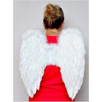 Andělská křídla 50x50 cm