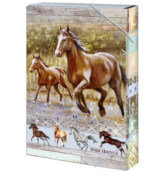 Box na sešity A4 Wild horses