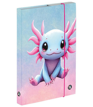 Box na sešity A5 Axolotl