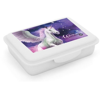 Box na svačinu s přihrádkou Pegas