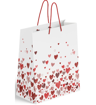 Dárková papírová 18x23 cm Srdíčka
