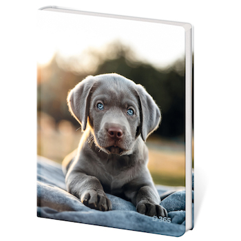 Památník A5 Stil čistý Pup